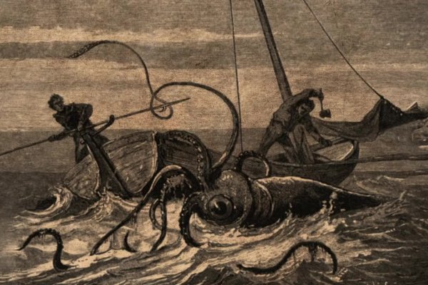 Kraken рабочее зеркало onion