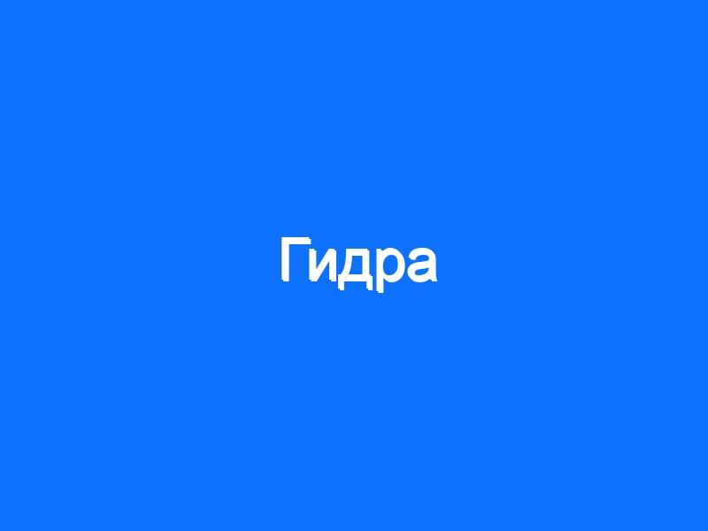 Kraken https